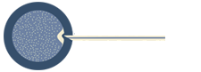 Baz Biyoteknoloji